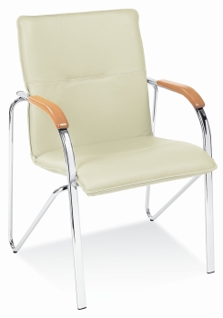 Besucherstühle auch gut als Konferenzstühle geeignet Typ B106