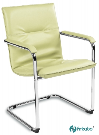 Echtleder Freischwinger-Stühle Typ RU1001 grün