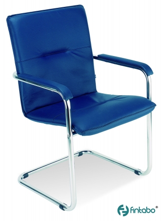 Echtleder Freischwinger Stühle blau